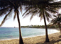 Caribbean Beach Resorts in Jamaica - Half Moon